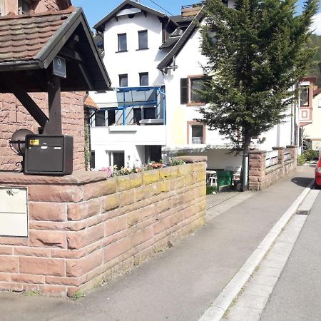 Grosse Wohnung Im Odenwald 1 쇠나우 외부 사진